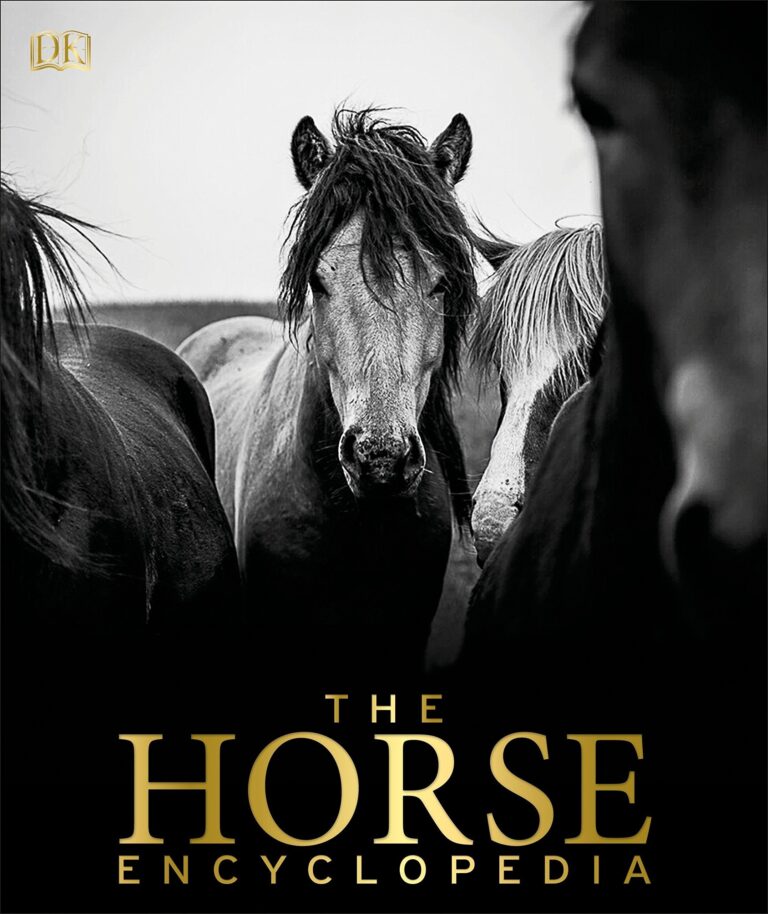 A Horse Bible