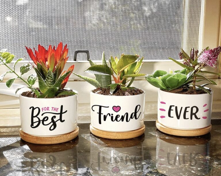 Best Friend Succulent Pots