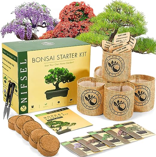 Gardening Gift, Bonsai Tree kit