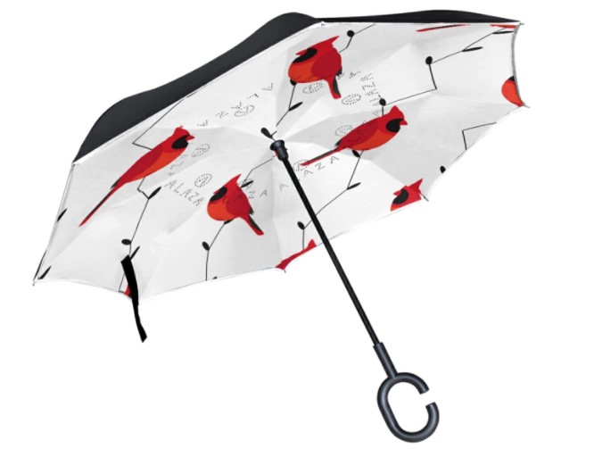 Cardinal Umbrella