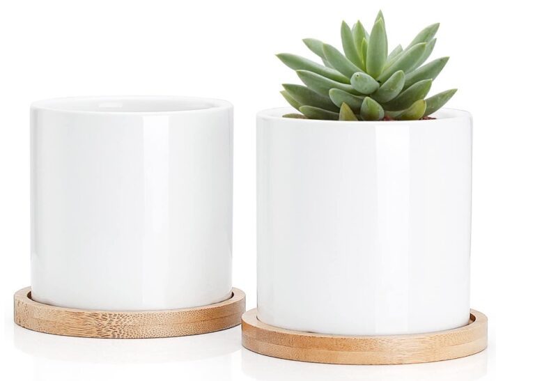 Ceramic Planters with Bamboo Stands