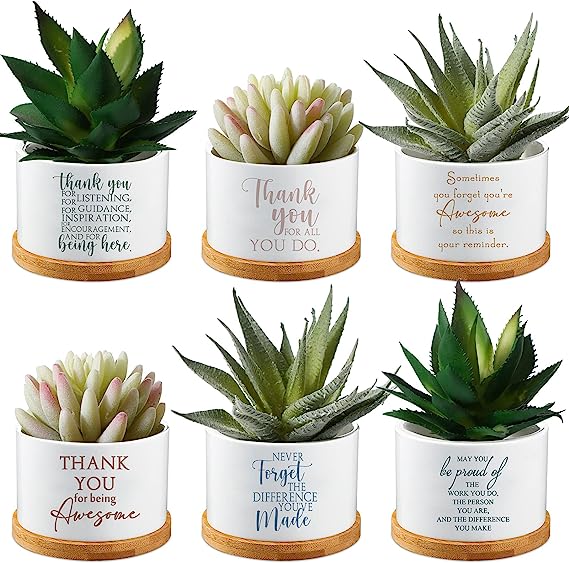 Thoughtful Thank You Gift Ceramic Succulent Planters