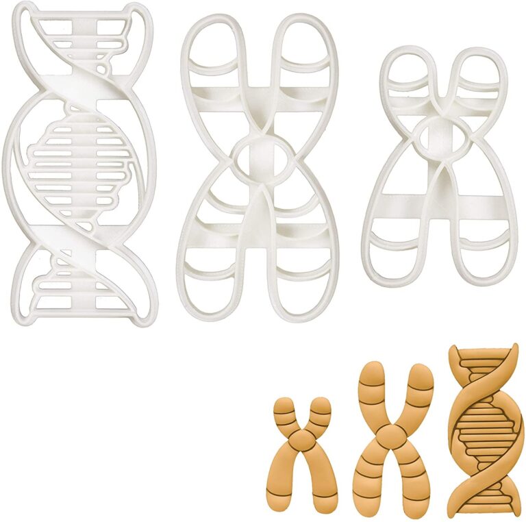 DNA Cookie Cutters